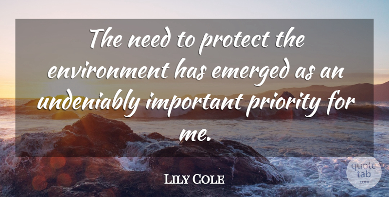 Lily Cole Quote About Priorities, Important, Needs: The Need To Protect The...