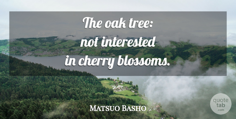 Matsuo Basho Quote About Spring, Tree, Cherry Blossom: The Oak Tree Not Interested...