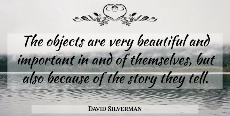 David Silverman Quote About Beautiful, Objects: The Objects Are Very Beautiful...