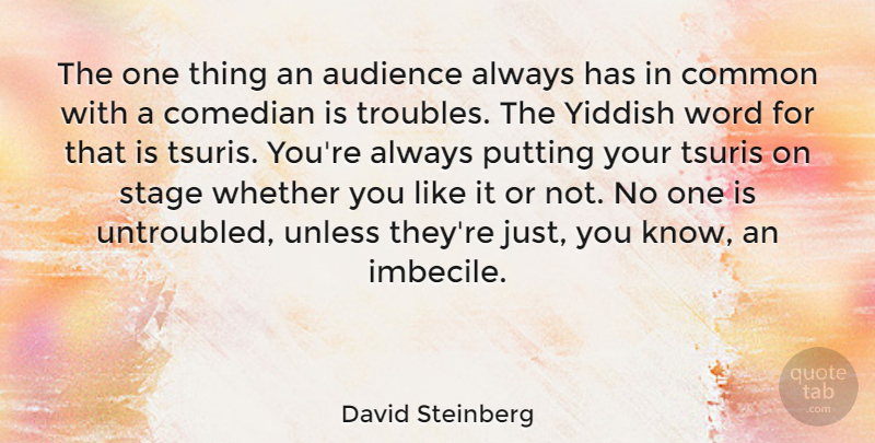 David Steinberg Quote About Audience, Comedian, Common, Putting, Stage: The One Thing An Audience...