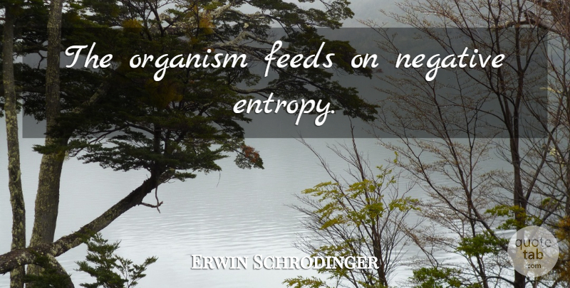 Erwin Schrodinger Quote About Negative, Entropy, Organisms: The Organism Feeds On Negative...
