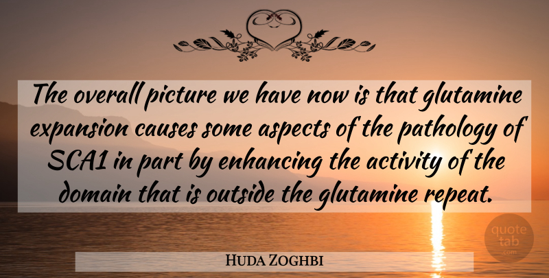 Huda Zoghbi Quote About Activity, Aspects, Causes, Domain, Enhancing: The Overall Picture We Have...