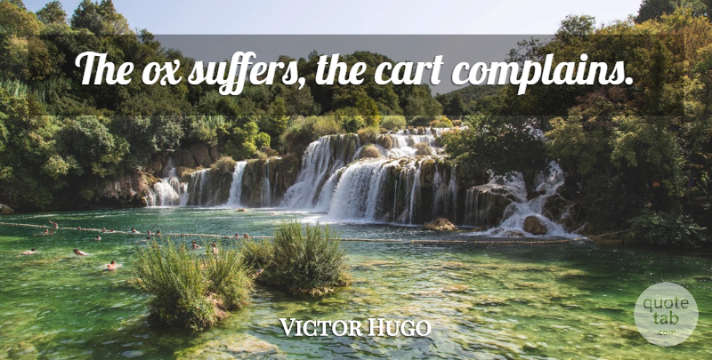 Victor Hugo Quote About Suffering, Complaining, Carts: The Ox Suffers The Cart...