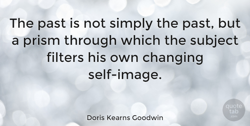 Doris Kearns Goodwin Quote About Past, Self, Filters: The Past Is Not Simply...