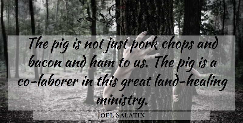 Joel Salatin Quote About Chops, Great, Ham, Pork: The Pig Is Not Just...