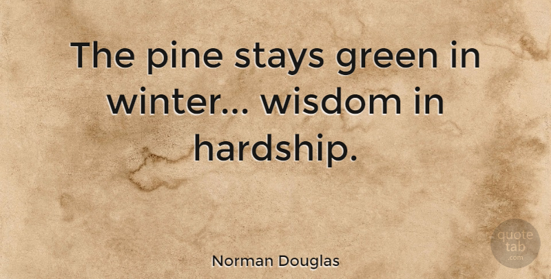 Norman Douglas Quote About Winter, Hardship, Green: The Pine Stays Green In...