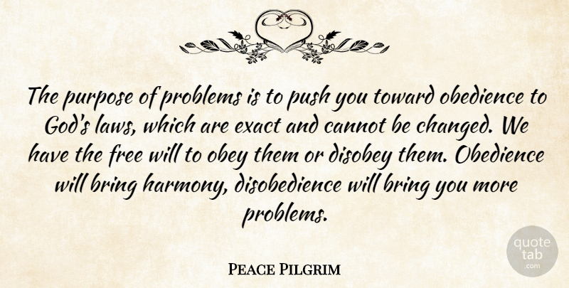 Peace Pilgrim Quote About Law, Long, Great Day: The Purpose Of Problems Is...