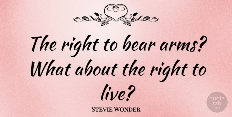 Stevie Wonder Quote About undefined: The Right To Bear Arms...