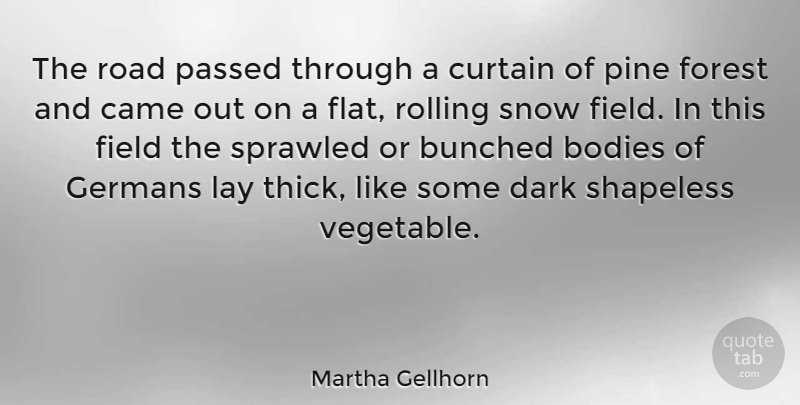 Martha Gellhorn Quote About American Journalist, Bodies, Came, Curtain, Field: The Road Passed Through A...