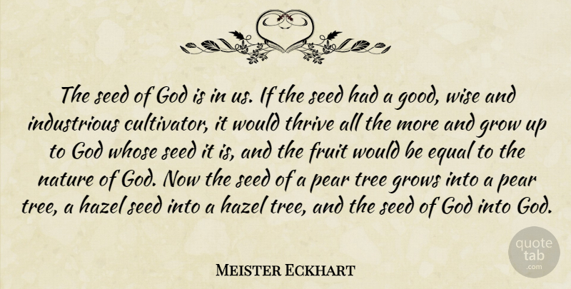 Meister Eckhart Quote About Christian, Wise, Growing Up: The Seed Of God Is...