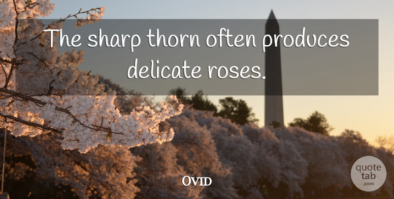 Ovid Quote About Flower, Rose, Ancestry: The Sharp Thorn Often Produces...