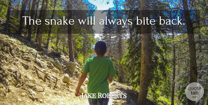 Jake Roberts Quote About Snakes, Bites: The Snake Will Always Bite...
