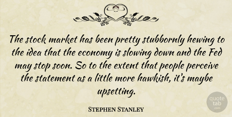 Stephen Stanley Quote About Economy, Extent, Fed, Market, Maybe: The Stock Market Has Been...