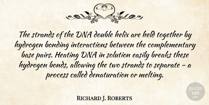 Richard J. Roberts Quote About Allowing, Base, Bonding, Breaks, Dna: The Strands Of The Dna...