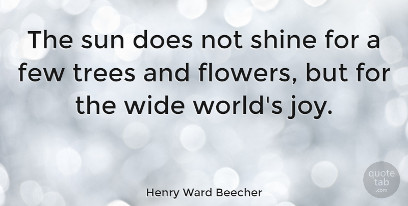 Henry Ward Beecher Quote About Love, Positive, Summer: The Sun Does Not Shine...