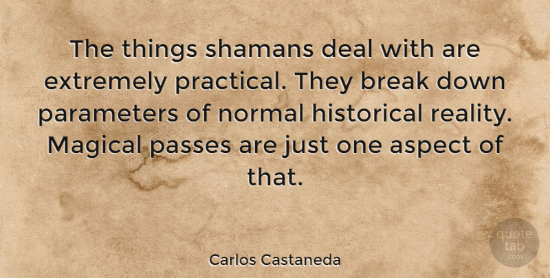 Carlos Castaneda Quote About Reality, Historical, Normal: The Things Shamans Deal With...