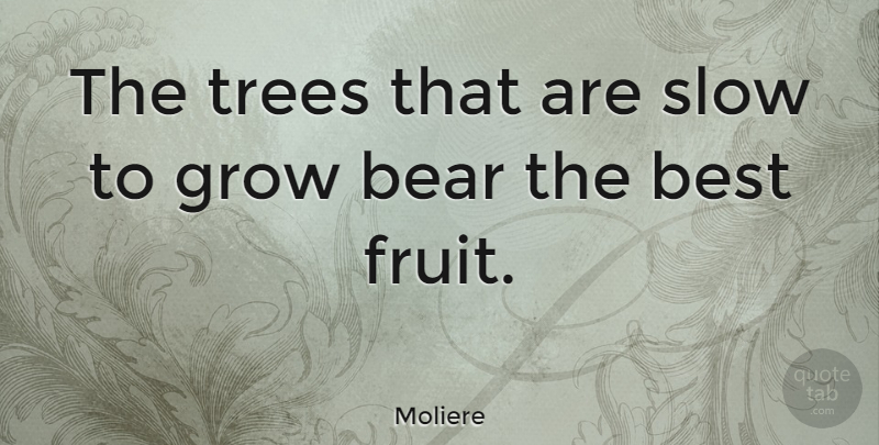 Moliere Quote About Inspirational, Success, Patience: The Trees That Are Slow...