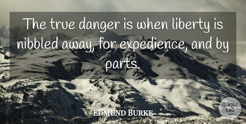 Edmund Burke Quote About Liberty, Libertarian, Internet: The True Danger Is When...