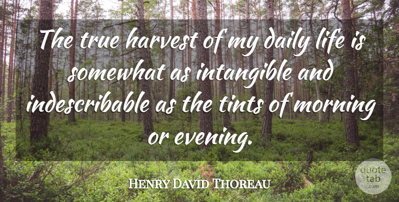 Henry David Thoreau Quote About Happiness, Morning, Evening: The True Harvest Of My...