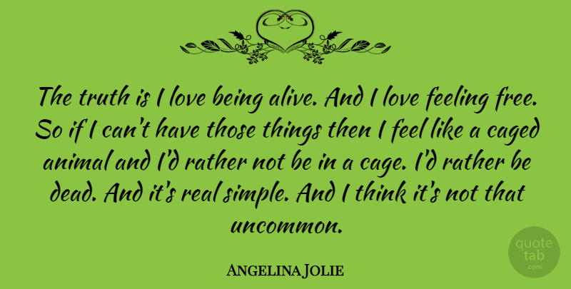 Angelina Jolie Quote About Love, Life, Freedom: The Truth Is I Love...