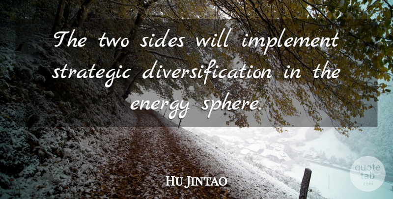 Hu Jintao Quote About Energy, Implement, Sides, Strategic: The Two Sides Will Implement...
