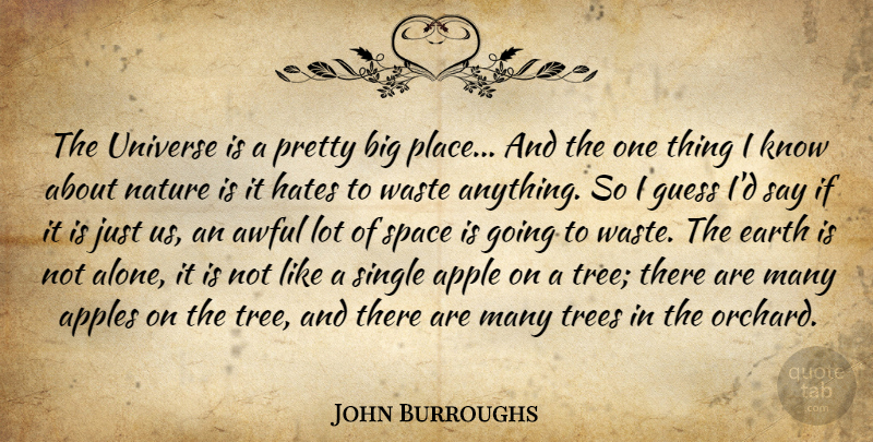 John Burroughs Quote About Hate, Moon, Apples: The Universe Is A Pretty...