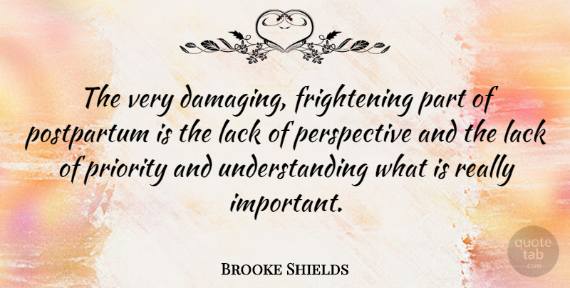 Brooke Shields Quote About Perspective, Priorities, Understanding: The Very Damaging Frightening Part...