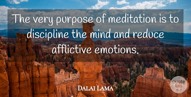 Dalai Lama Quote About Discipline, Meditation, Mind: The Very Purpose Of Meditation...