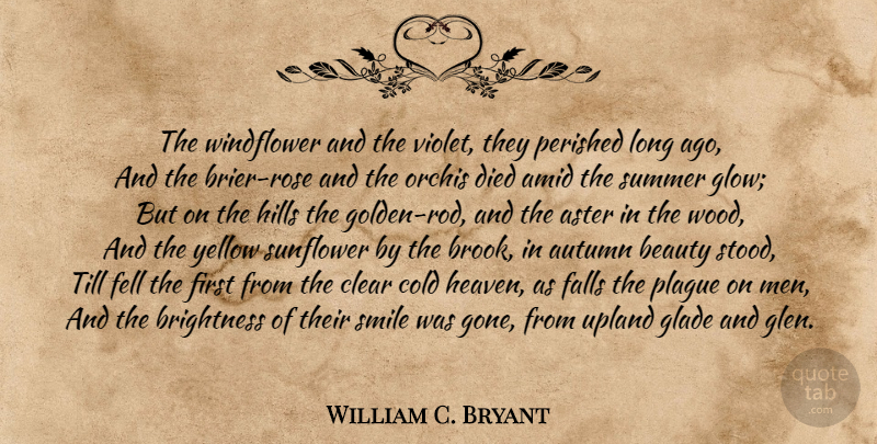 William C. Bryant Quote About Summer, Fall, Autumn: The Windflower And The Violet...