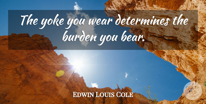 Edwin Louis Cole Quote About Literature, Bears, Yoke: The Yoke You Wear Determines...