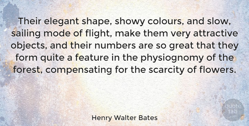 Henry Walter Bates Quote About Attractive, Elegant, Feature, Form, Great: Their Elegant Shape Showy Colours...