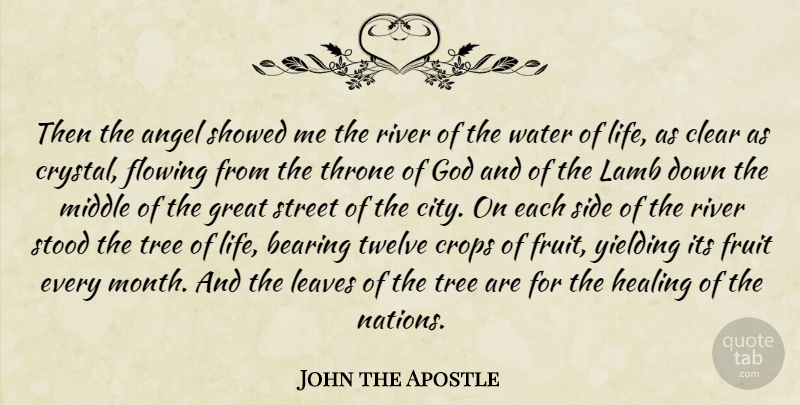 John the Apostle Quote About Healing, Angel, Water Of Life: Then The Angel Showed Me...
