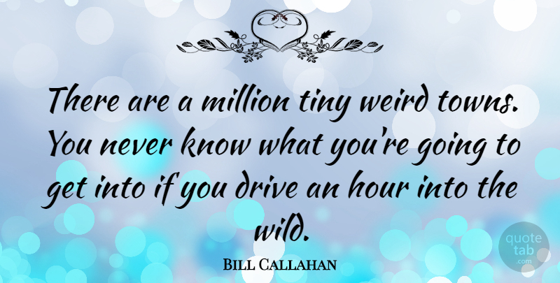Bill Callahan Quote About Hour, Million, Tiny: There Are A Million Tiny...