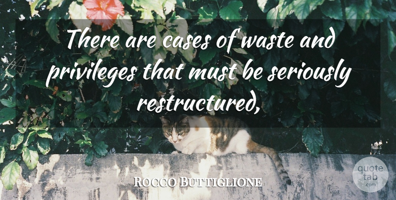 Rocco Buttiglione Quote About Cases, Privileges, Seriously, Waste: There Are Cases Of Waste...