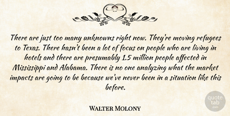 Walter Molony Quote About Affected, Analyzing, Focus, Hotels, Impacts: There Are Just Too Many...
