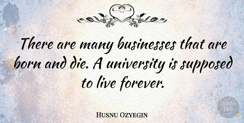 Husnu Ozyegin Quote About Businesses, Supposed, University: There Are Many Businesses That...