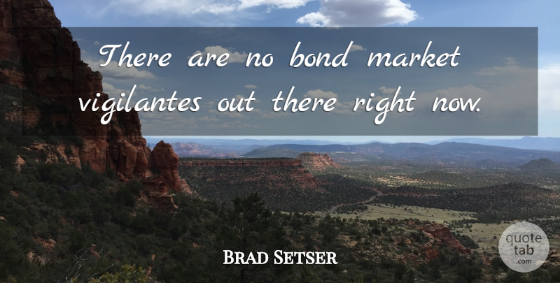 Brad Setser Quote About Bond, Market: There Are No Bond Market...