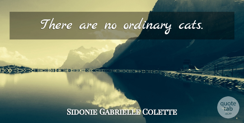 Sidonie Gabrielle Colette Quote About Cat, Animal, Pet: There Are No Ordinary Cats...