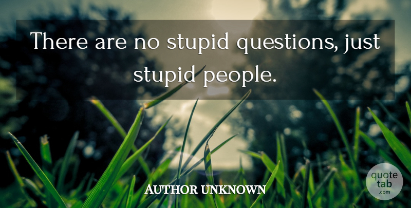 Author unknown Quote About Stupid: There Are No Stupid Questions...