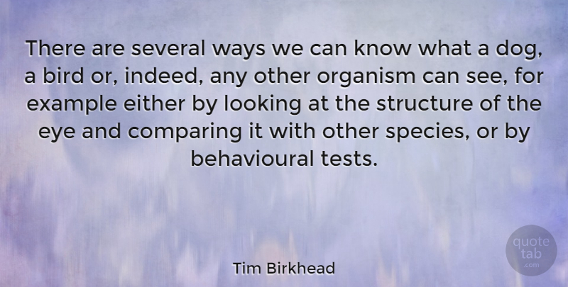 Tim Birkhead Quote About Comparing, Either, Example, Looking, Organism: There Are Several Ways We...
