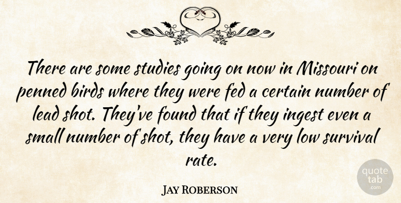 Jay Roberson Quote About Birds, Certain, Fed, Found, Lead: There Are Some Studies Going...
