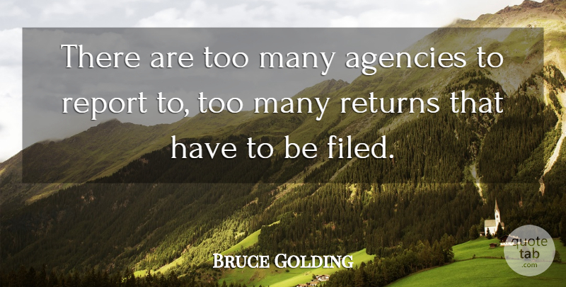Bruce Golding Quote About Agencies, Report, Returns: There Are Too Many Agencies...