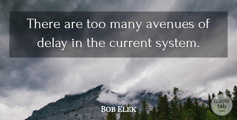 Bob Elek Quote About Avenues, Current, Delay: There Are Too Many Avenues...