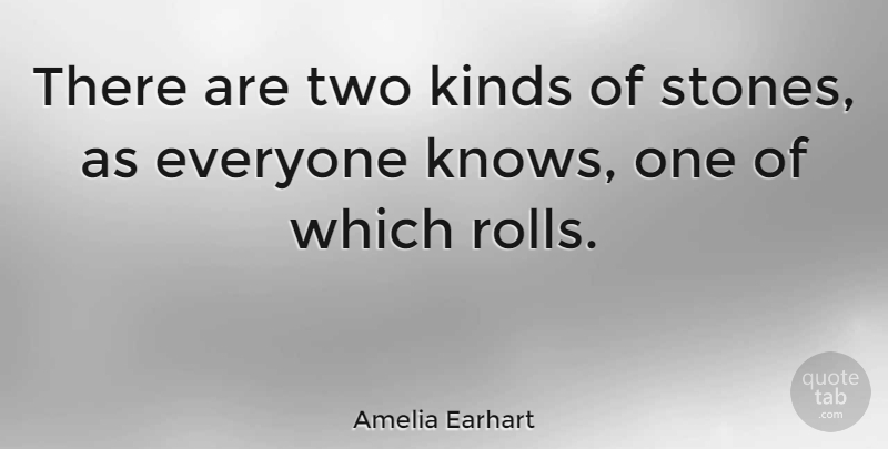 Amelia Earhart Quote About Leadership, Two, Hypocrisy: There Are Two Kinds Of...