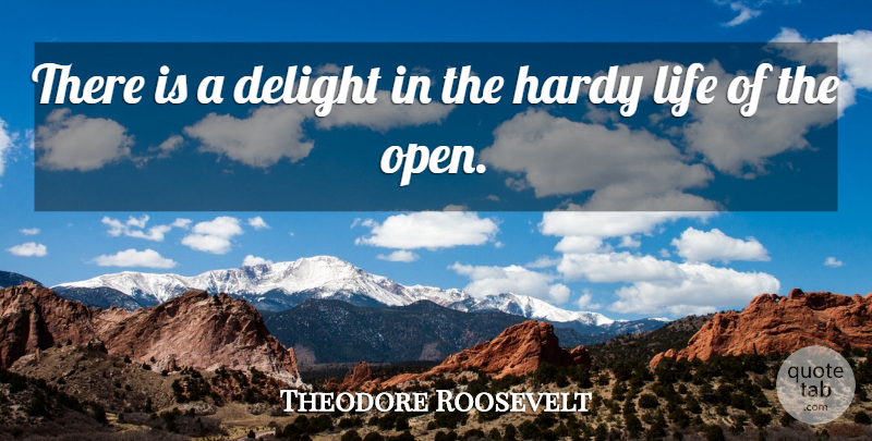 Theodore Roosevelt Quote About Life, History, Delight: There Is A Delight In...