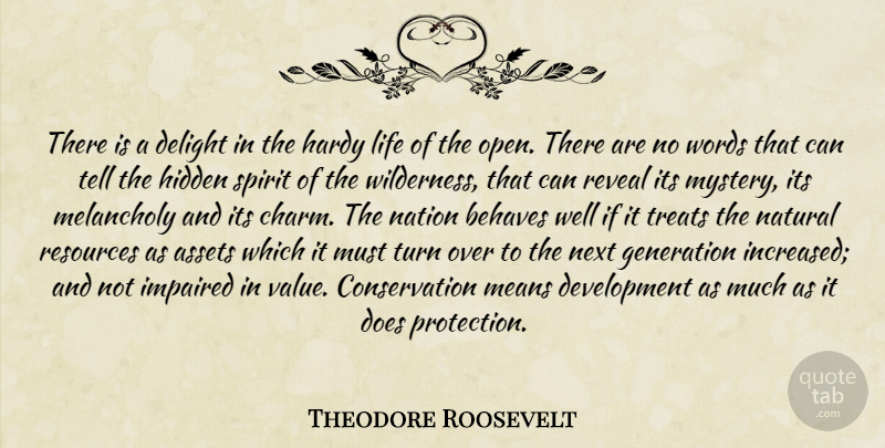 Theodore Roosevelt Quote About Mean, Doe, Generations: There Is A Delight In...