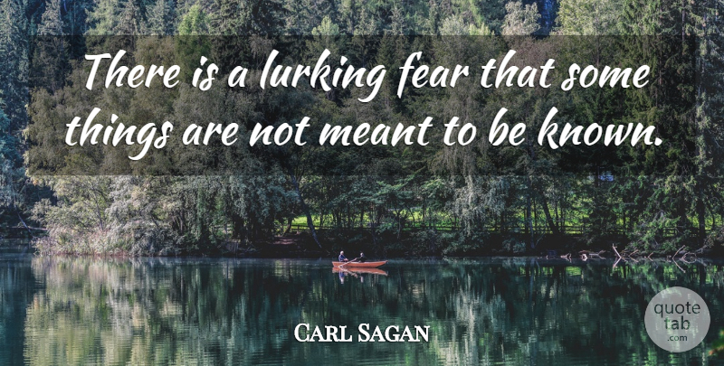 Carl Sagan Quote About Keeping Secrets, Known, Some Things Are Meant To Be: There Is A Lurking Fear...