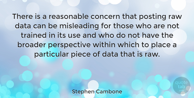Stephen Cambone Quote About Data, Perspective, Use: There Is A Reasonable Concern...
