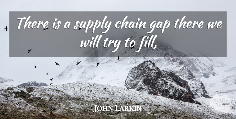 John Larkin Quote About Chain, Gap, Supply: There Is A Supply Chain...