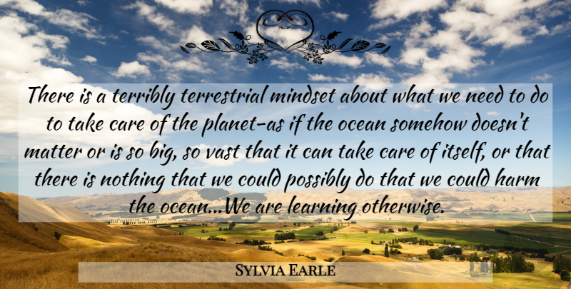 Sylvia Earle Quote About Ocean, Needs, Care: There Is A Terribly Terrestrial...